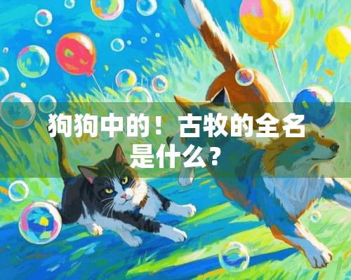 狗狗中的！古牧的全名是什么？