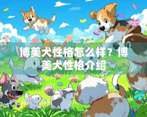 博美犬性格怎么样？博美犬性格介绍