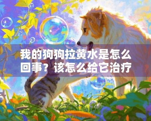 我的狗狗拉黄水是怎么回事？该怎么给它治疗？