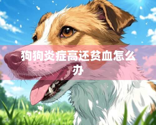 狗狗炎症高还贫血怎么办