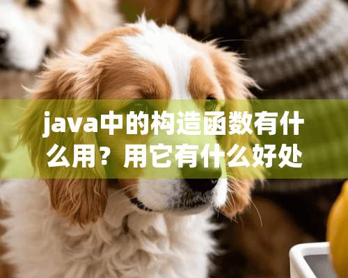 java中的构造函数有什么用？用它有什么好处？在什么地方用？