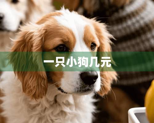 一只小狗几元