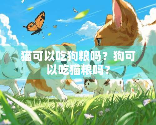 猫可以吃狗粮吗？狗可以吃猫粮吗？