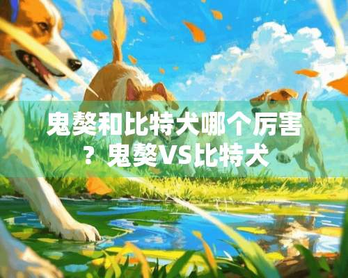 鬼獒和比特犬哪个厉害？鬼獒VS比特犬