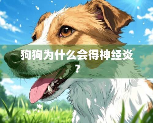 狗狗为什么会得神经炎？