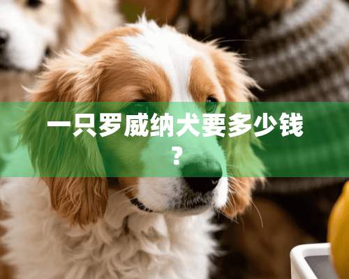 一只罗威纳犬要多少钱？