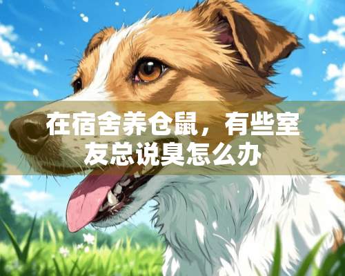 在宿舍养仓鼠，有些室友总说臭怎么办