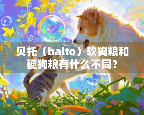 贝托（balto）软狗粮和硬狗粮有什么不同？