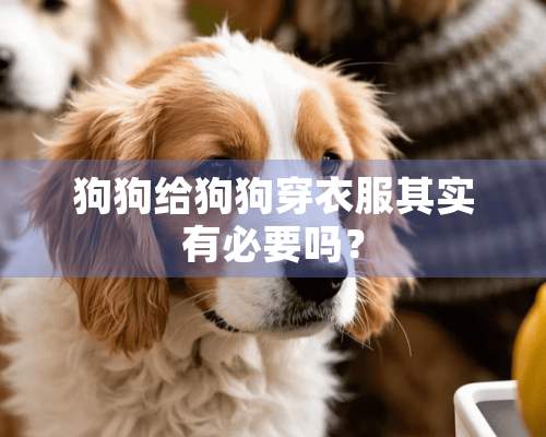 狗狗给狗狗穿衣服其实有必要吗？