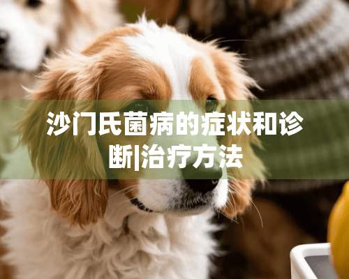 沙门氏菌病的症状和诊断|治疗方法