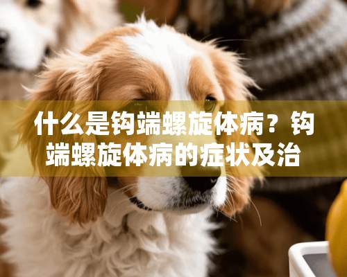 什么是钩端螺旋体病？钩端螺旋体病的症状及治疗方法