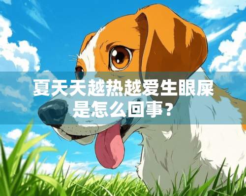 夏天天越热越爱生眼屎是怎么回事？