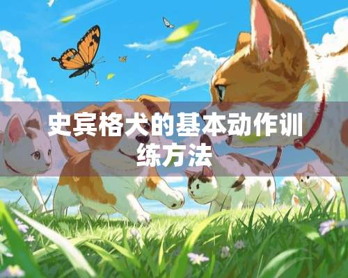 史宾格犬的基本动作训练方法