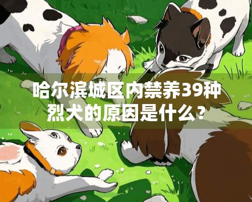 哈尔滨城区内禁养39种烈犬的原因是什么？