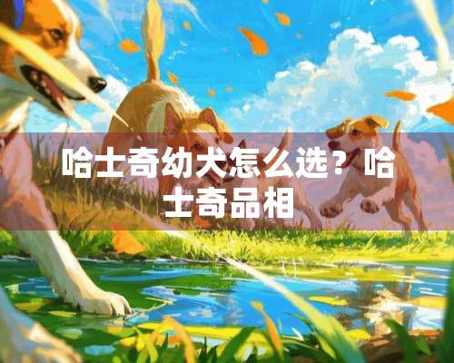 哈士奇幼犬怎么选？哈士奇品相