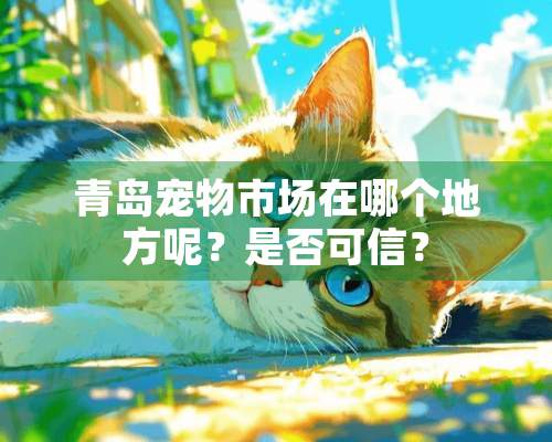 青岛宠物市场在哪个地方呢？是否可信？