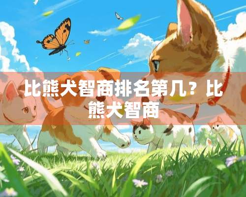 比熊犬智商排名第几？比熊犬智商