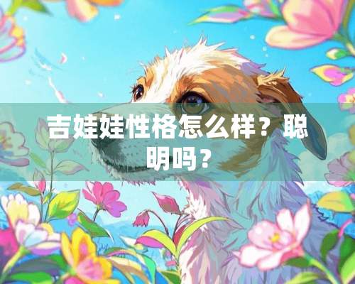 吉娃娃性格怎么样？聪明吗？