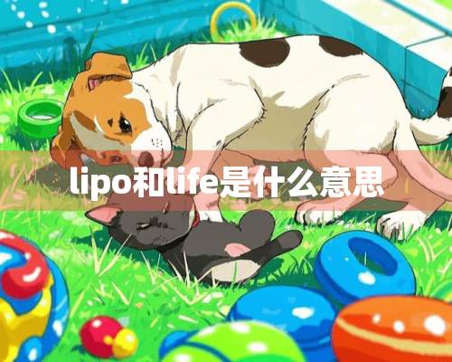 lipo和life是什么意思