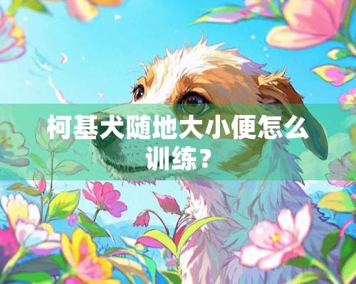 柯基犬随地大小便怎么训练？