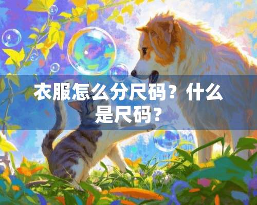 衣服怎么分尺码？什么是尺码？