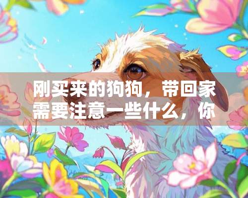 刚买来的狗狗，带回家需要注意一些什么，你知道吗