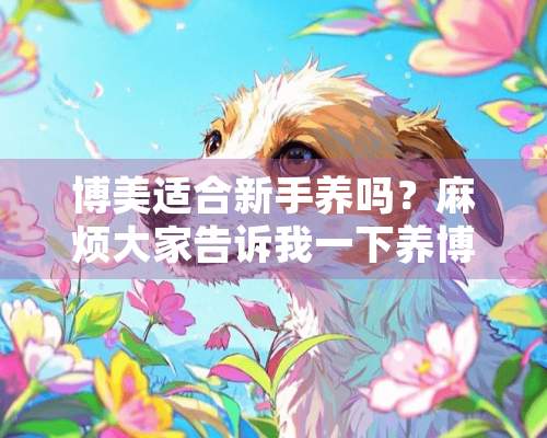 博美适合新手养吗？麻烦大家告诉我一下养博美的注意事项