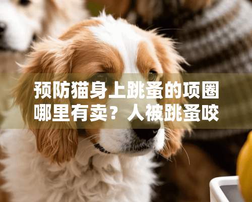 预防猫身上跳蚤的项圈哪里有卖？人被跳蚤咬了怎么止痒？