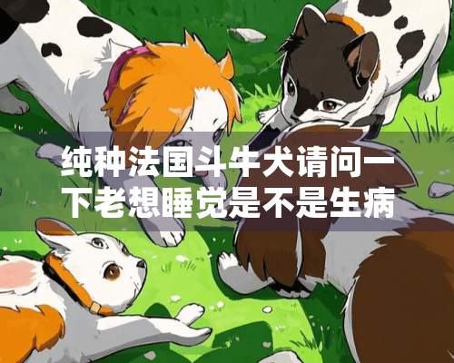 纯种法国斗牛犬请问一下老想睡觉是不是生病了？