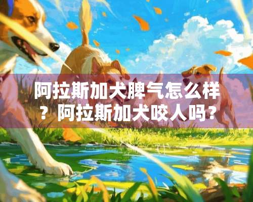 阿拉斯加犬脾气怎么样？阿拉斯加犬咬人吗？