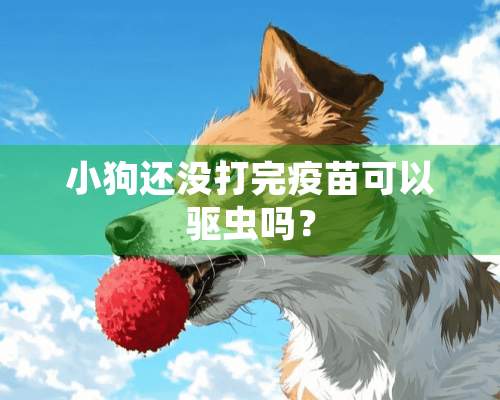 小狗还没打完疫苗可以驱虫吗？