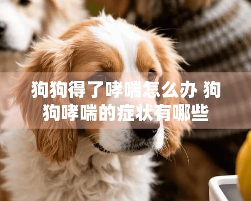 狗狗得了哮喘怎么办 狗狗哮喘的症状有哪些