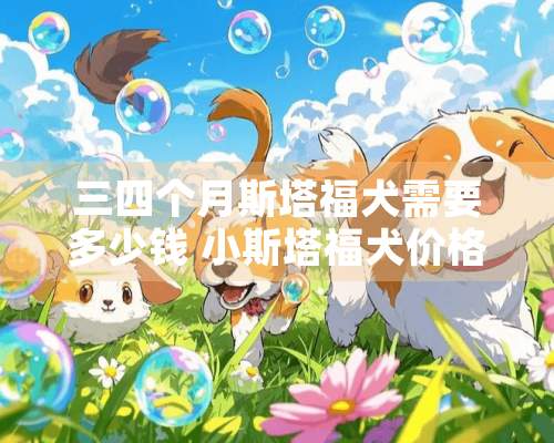 三四个月斯塔福犬需要多少钱 小斯塔福犬价格贵吗