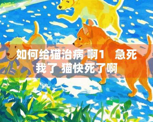 如何给猫治病 啊1   急死我了 猫快死了啊