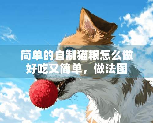 简单的自制猫粮怎么做好吃又简单，做法图