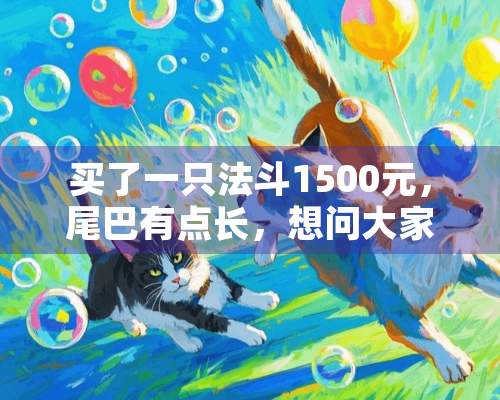 买了一只法斗1500元，尾巴有点长，想问大家这法斗纯不纯，值不值这个