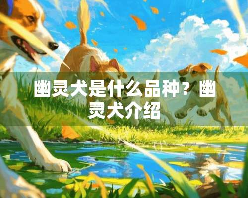 幽灵犬是什么品种？幽灵犬介绍