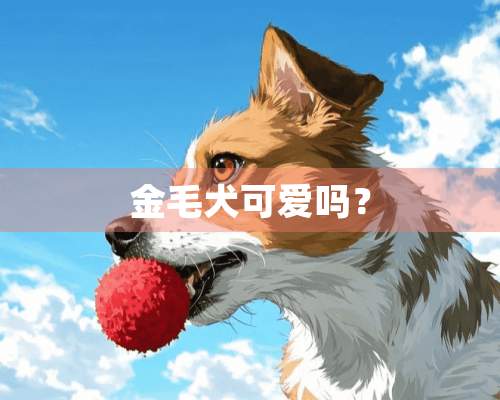 金毛犬可爱吗？