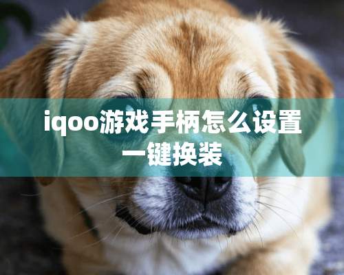 iqoo游戏手柄怎么设置一键换装