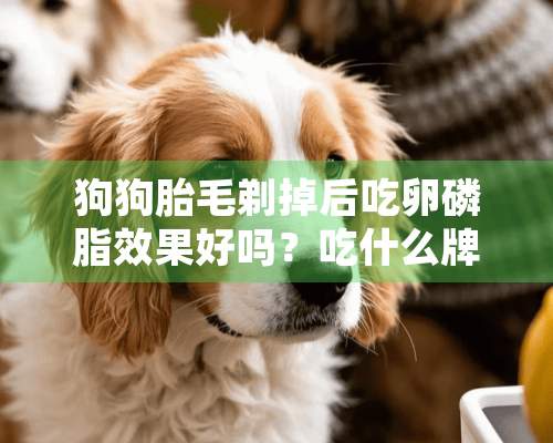 狗狗胎毛剃掉后吃卵磷脂效果好吗？吃什么牌子的好？