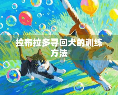 拉布拉多寻回犬的训练方法