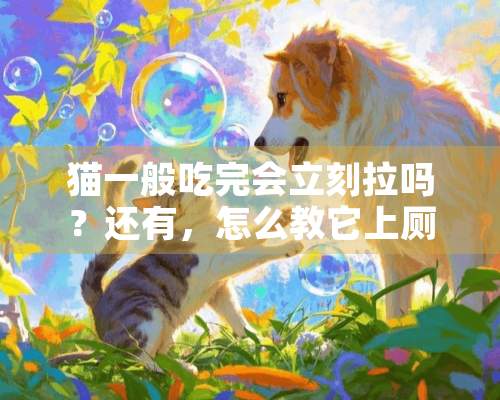 猫一般吃完会立刻拉吗？还有，怎么教它上厕所？？