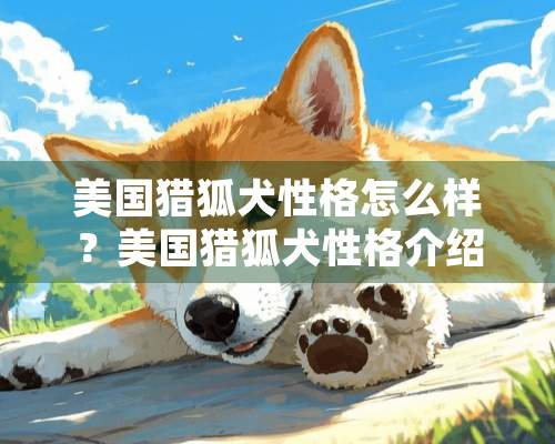 美国猎狐犬性格怎么样？美国猎狐犬性格介绍