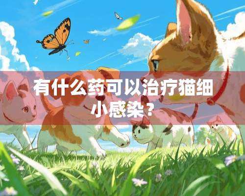 有什么药可以治疗猫细小感染？