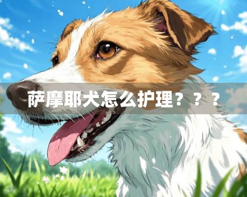 萨摩耶犬怎么护理？？？