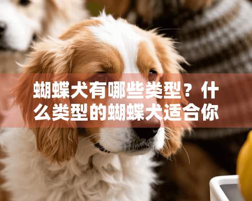 蝴蝶犬有哪些类型？什么类型的蝴蝶犬适合你？