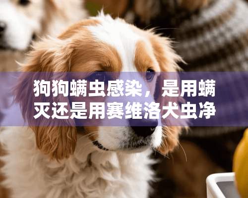 狗狗螨虫感染，是用螨灭还是用赛维洛犬虫净？