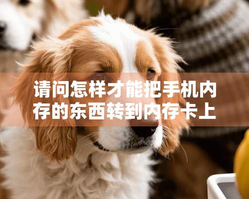 请问怎样才能把手机内存的东西转到内存卡上？