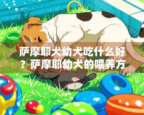 萨摩耶犬幼犬吃什么好？萨摩耶幼犬的喂养方法