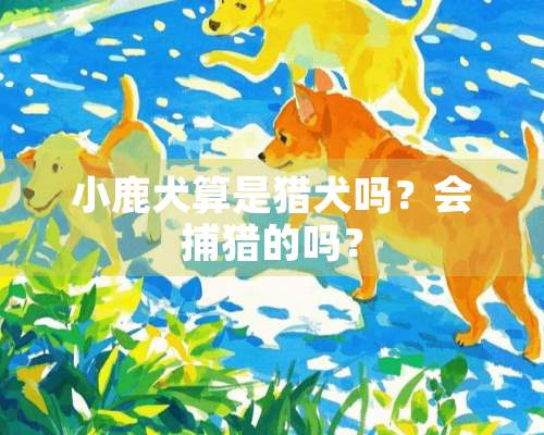 小鹿犬算是猎犬吗？会捕猎的吗？